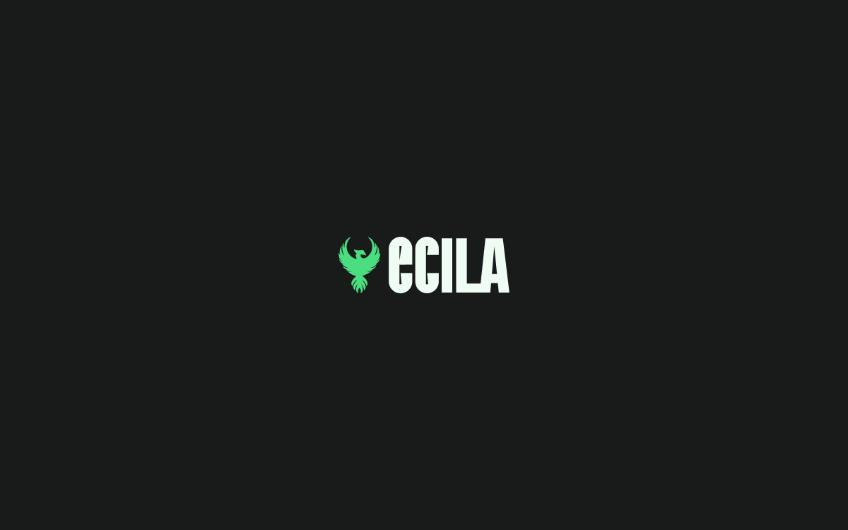 ECILA GAMING NETWORK - Identitate Vizuală